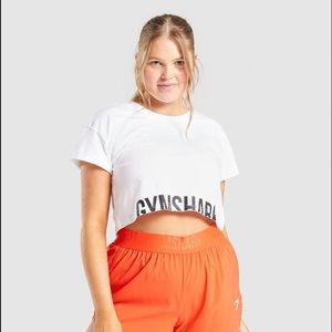 Gymshark Fraction Crop Top
